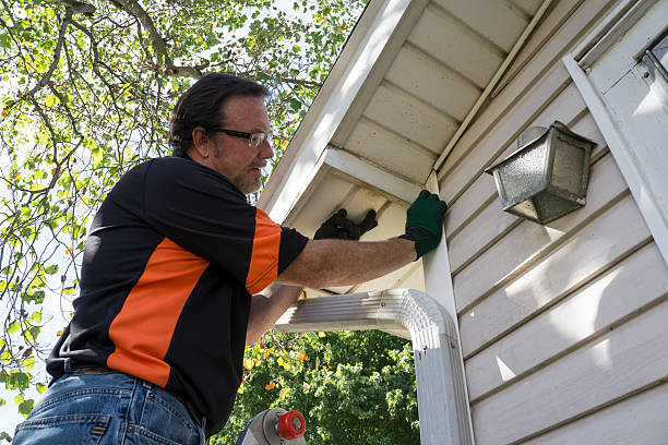 Best Hoarding Cleanup  in Santa Paula, CA